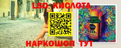 прущие грибы Краснознаменск