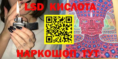 прущие грибы Краснознаменск