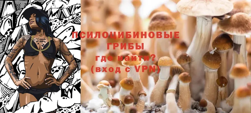 Галлюциногенные грибы Magic Shrooms  Нальчик 