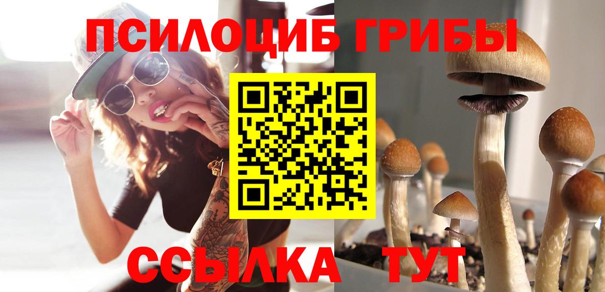 Псилоцибиновые грибы Psilocybe  Вход с VPN  Нальчик 